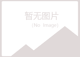 马山县夏岚能源有限公司